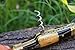 DKC Knives (14 5/18) Sale DKC-53 Blonde Squire Damascus Folding Laguiole Pocket Knife 4.5