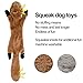 SHARLOVY No Stuffing Dog Toys Crinkle Squeaky, Long Lasting Chews for Aggressive, Durable Plush Dog Puppy Chew Toys for Teething, with 6 Tough Layers for Small Medium Large Breed