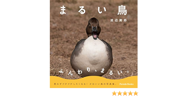 まるい鳥 Amazon Com Books
