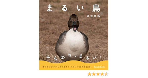 まるい鳥 Amazon Com Books