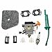 Carbhub Carburetor for STIHL FS100 FS100R FS110 FS110R FS110X FS110RX FS100RX FS130 FS130R Trimmer with Fuel Line Tune Up Kit