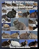 Colour & Pattern Varieties of the Netherland Dwarf Rabbit by Divina Blackwell-Bates