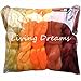 SPINNING FIBER Super soft BFL Wool Top Roving drafted for hand spinning with drop spindle or wheel, felting, blending and weaving. Variegated hand dyed mini skeins. 5 Ounce DISCOUNT PACK, Harvest