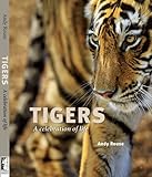 Image de Tigers: A Celebration of Life