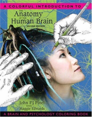 A Colorful Introduction to the Anatomy of the Human Brain: A Brain