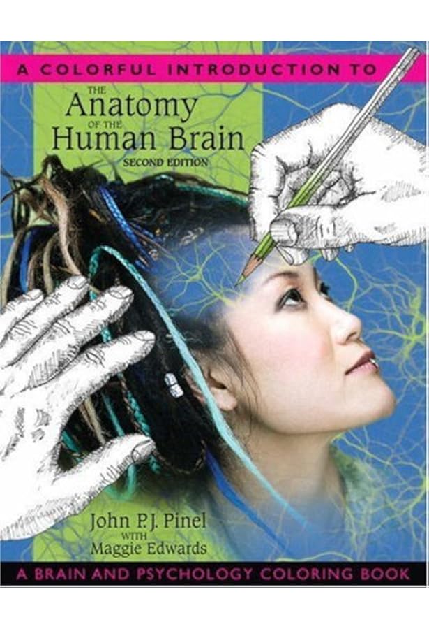 A Colorful Introduction to the Anatomy of the Human Brain: A Brain