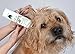 BotaniVet Ear Cleaner 8 Oz - 100% Natural Ingredients - Made with Certified Organic Oils and Silver - Veterinary Dermatologist Formulated for Dogs and Cats with Ear Problems