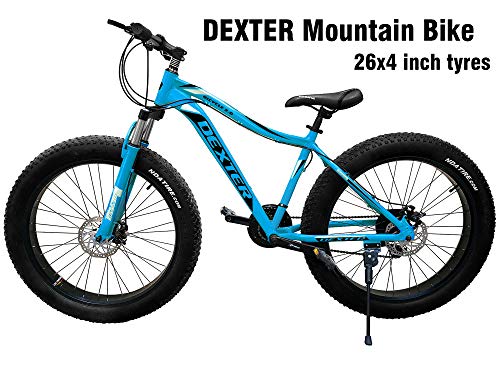 dexter fat bike