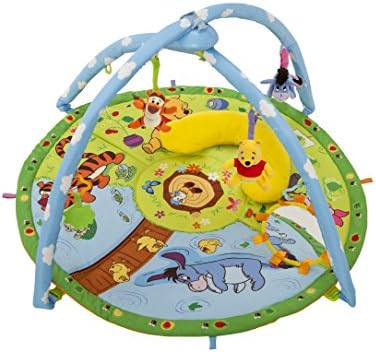 winnie the pooh play gym