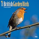 British Garden Birds 2016 Square 12x12 by 