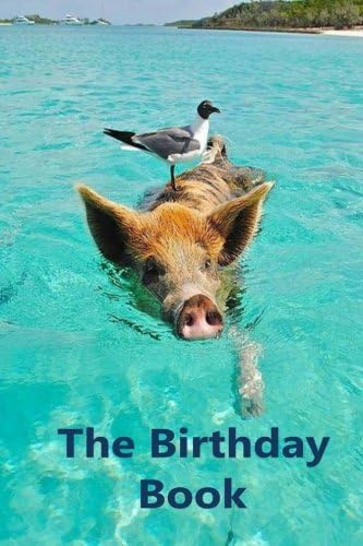 The Birthday Book: Dates to Remember Every Year Paperback – 8 Aug. 2017