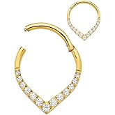 365 Sleepers Titanium Implant Grade 16G Gem Tear Drop Septum Jewelry Hinged Segment Ring Body Piercing Hoop Lip Rings Helix Cartilage Rook Sleeper Earrings 8mm – 10mm