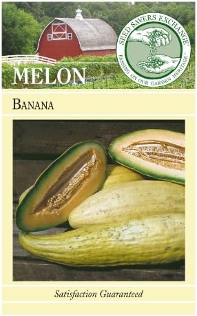 Seed Savers Exchange 0932 Open-pollinated Melon Seed, Banana, 25 Seed Packet