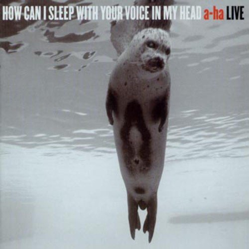 How Can I Sleep With Your Voice In My Head