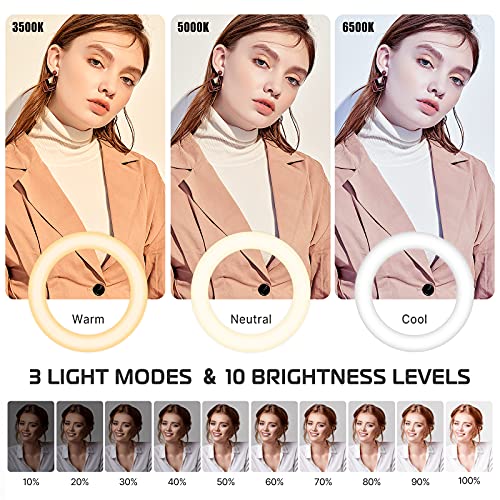 [Upgraded Base] Ring Light Desk with Horizontal Boom Arm, 10" Ring Light with Phone Tripod Stand, 3500k-6500K Dimmable, Ring Light with Phone Holder for Video Recording, Live Stream, Portrait, Makeup