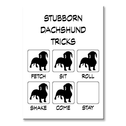 Dachshund Stubborn Tricks Fridge Magnet