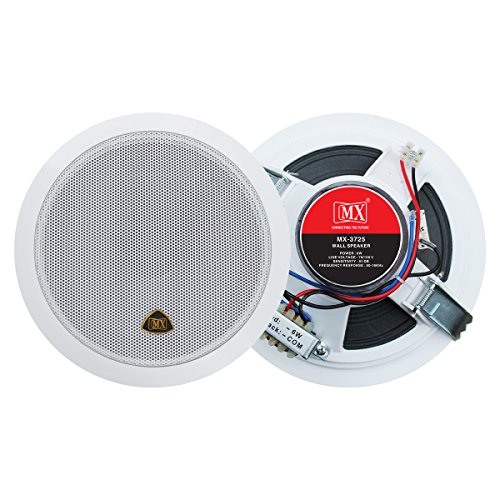 Audio PA Speaker System 