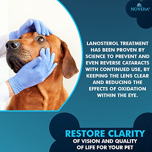 Lanosterol Eye Drops For Dogs Dog Cataracts Treatment Without