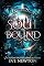Livro Soul Bound: academia paranormal do harém reverso (Descendência Amaldiçoada Livro 2)
