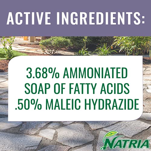 Natria 100532524 Grass & Weed Control with Root Kill Herbicide Weed