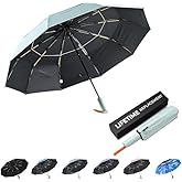 DryDay Travel Umbrellas for Rain - Large Windproof Double Canopy Umbrella, 10 Durable Ribs, Strong Frame, Auto Open Close Ergonomic Handle, Compact Waterproof Umbrella for Women & Men
