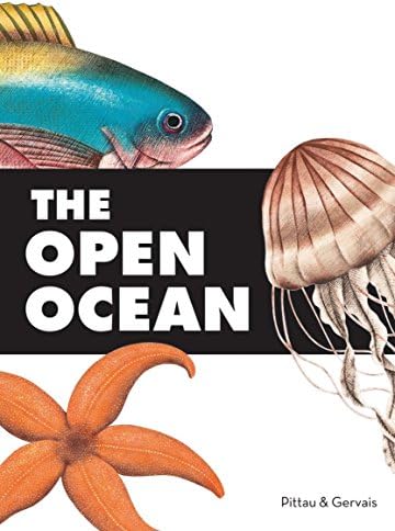 The Open Ocean