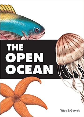 The Open Ocean Francesco Pittau Bernadette Gervais - 