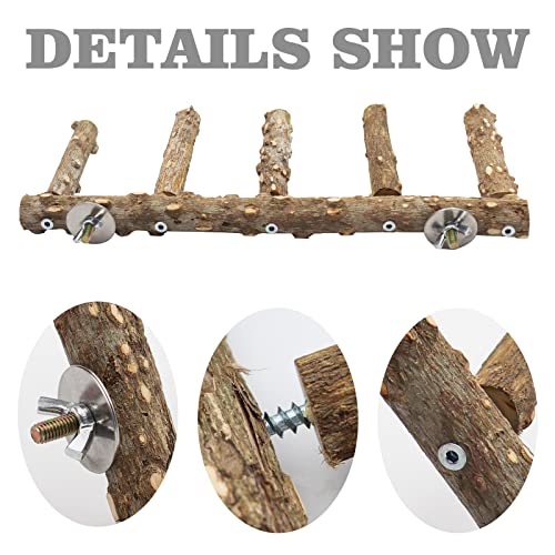 2 Pack Bird Ladder, Bird Perch Stand, Natural Prickly Ash Wood Bird