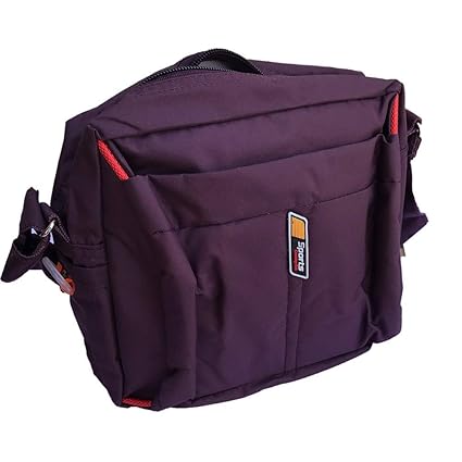 Rang Teq Polyester Small Messenger Travel Wallet Neck Pouch Bag Passport Holder (8x3x8 inch) Assorted Color