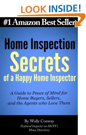 Home Inspection Book A Guide for Professionals