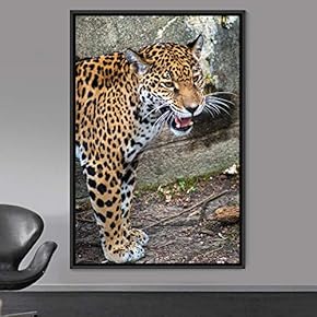 signwin Framed Canvas Wall Art Leopard Animals Cheetah...