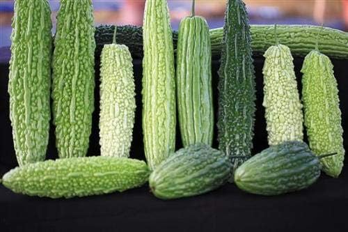 HONIC 20 Piezas Mezcla de Verduras Calabaza amarga, Plantas ...