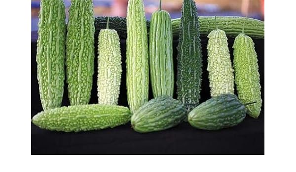 HONIC 20 Piezas Mezcla de Verduras Calabaza amarga, Plantas en ...