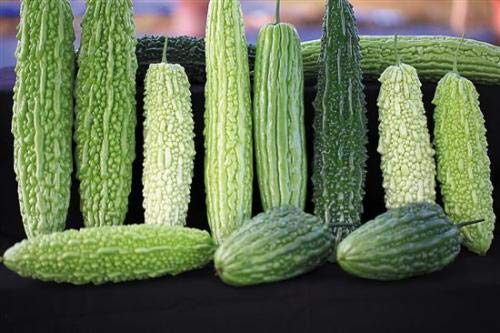 HONIC 20 Piezas Mezcla de Verduras Calabaza amarga, Plantas en ...