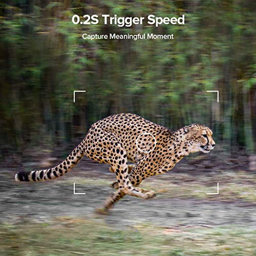 5 Hunting+120%25C2%25B0Wide+Angle+Waterproof+Wildlife+Monitoring