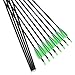 Musen Carbon Arrows 30-Inch Fletching 2.5'' Target Practice Archery Arrows for Recurve or Compound Bow(12 Pack) (Green)