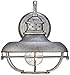 Franklin Iron Works Franklin Park Rustic Industrial Farmhouse Vintage Outdoor Barn Light Fixture Galvanized Steel Open Cage 9