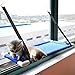 BreTT1QIN9 Pet Cat Window Perch Sunny Seat Strong Suction Cup Kitten Cot Bed Nest Hammockthumb 3