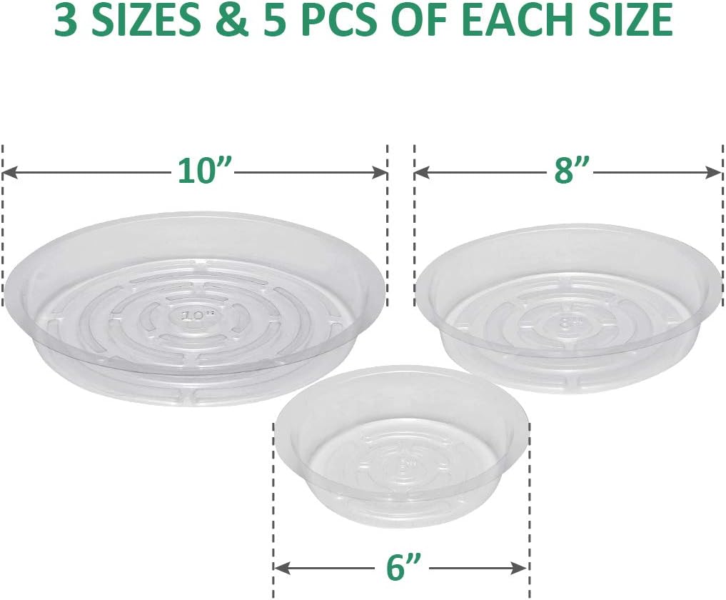 GROWNEER 15 Packs Clear Plant Saucer Drip Trays, with 15 Pcs Plant Labels, Plastic Plant Pot Saucers Flower Pot Set for Indoor Outdoor Garden, Assorted Sizes 6/8/10 Inch, 5 Pcs of Each Size: Kitchen & Dining