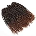 Kinky Curl 12 Inch Afro Kinky Twist Hair Soft Synthetic Crochet Braiding Hair Extention (12inch T30)