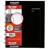 AT-A-GLANCE Weekly / Monthly Appointment Book / Planner 2017, Move-A-Page, 9-1/8 x 11