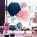 Furuix 9 pcs White Navy Pink 10inch Tissue Paper Pom Pom Paper Lanterns for Nautical Party Decorations Navy Blue Themed Party Wedding, Baby Shower Decoration Navy & Pink Nursery Room Decoration