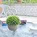 VANGOLD Lifelike Artificial Plants Plastic Grass Plants with Pots for Home/Office Decor (Green-1pcs)