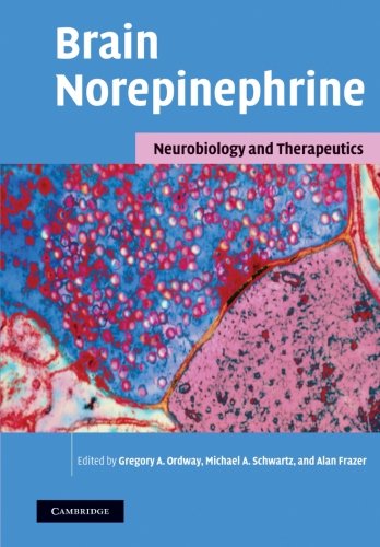BRAIN NOREPINEPHRINE