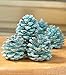 Fireplace Rainbow Flame-Coloring Flame Changing Pine Cones 1 Pound Bag