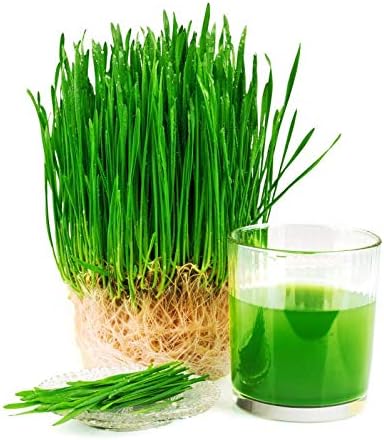 Wheatgrass Powder Superfood 100% Pure for Detox, Cleanse, Diet,Weight Loss, Health Drink, Vegan, Gluten Free, Rice Source of Iron, Zinc, Fibre, Calcium (1kg)