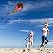 Ice Cream Kite for Kids with Safety Certificate | 50 LB x 164 Feet Twisted Kite Line, Premium Kite for Girls and Boys, Create Memories with Family and Friends by Flying a Unique Shaped Easy Flyer Kite