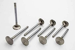 Manley 106498 Stainless Steel Performance Valves - Set of 8