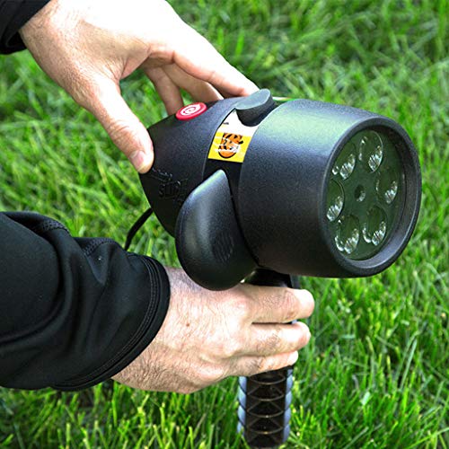 Star Shower Slide Show LED Holiday Projector by BulbHead, Indoor & Outdoor Holiday Projection Lights