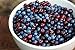Huckleberry Haven Wild Huckleberry Jam 11 oz.
